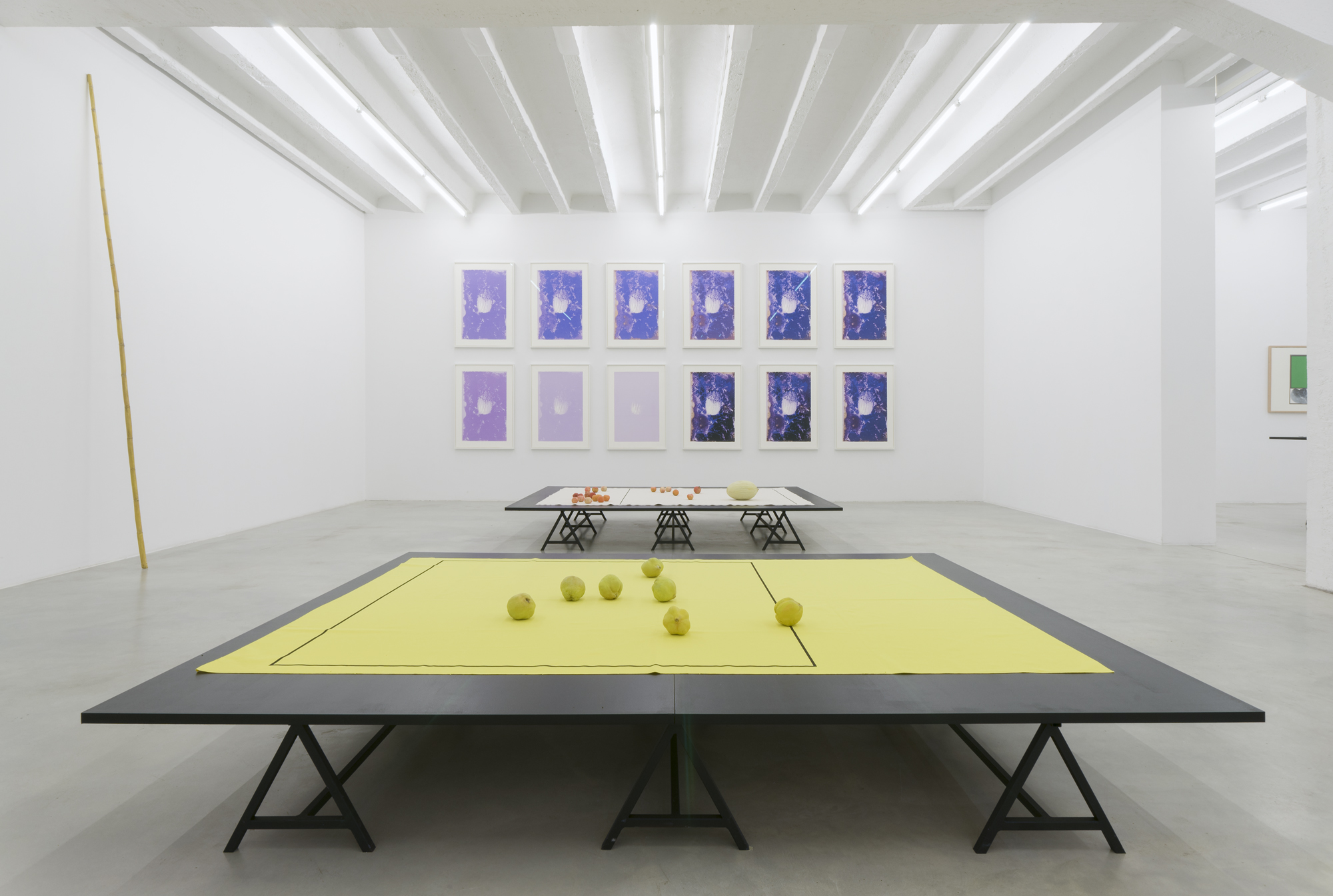 Exhibition view at Galerija Gregor Podnar, Berlin, 2015. Photo: Marcus Schneider