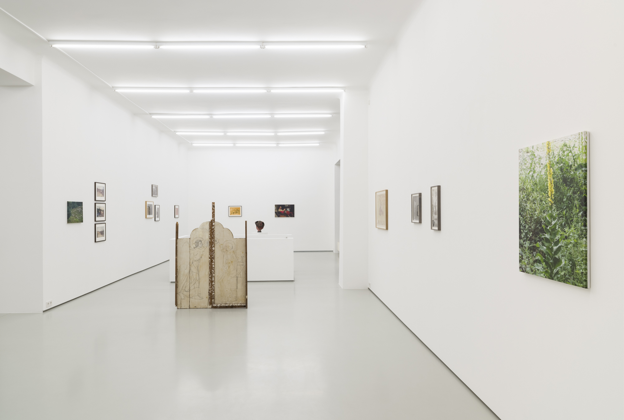 Commentary upon Nature exhibition view at Gregor Podnar, 2019. Photo: Marcus Schneider