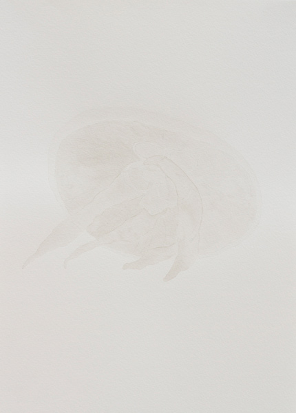 Steelwires and jellyfish, ink on paper, 29,7 x 42 cm, 2011