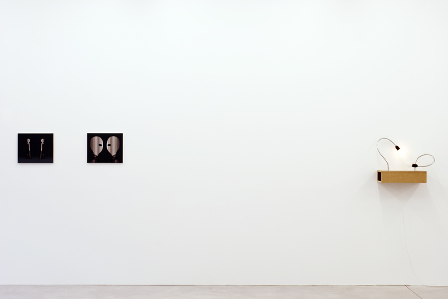 LIKE TO LIKE (I), exhibition view, Galerija Gregor Podnar, Berlin, 2007. Photo: Alain Roux