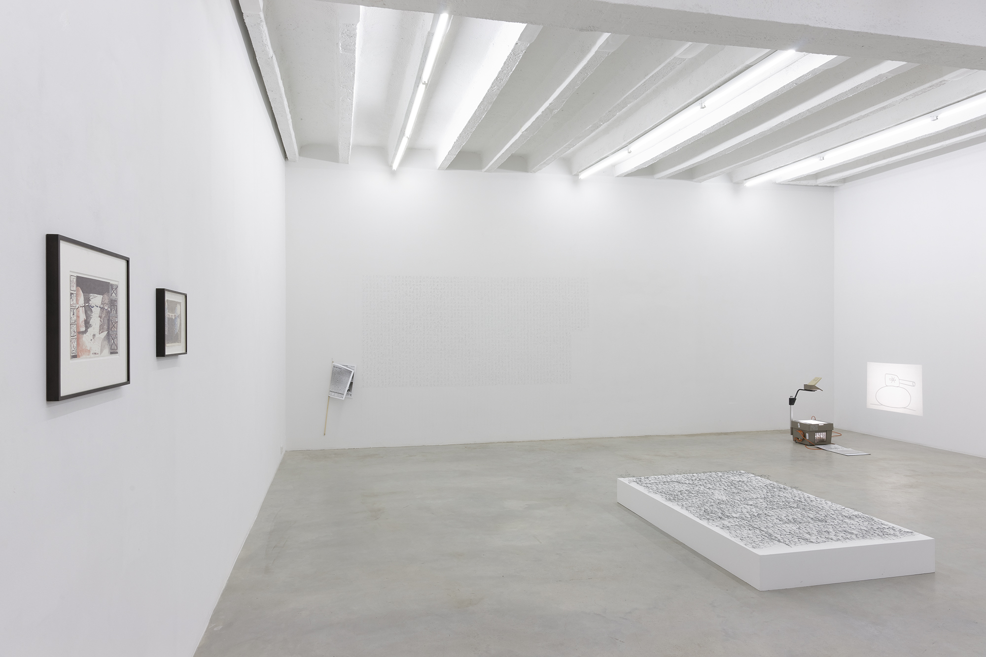 Dan Perjovschi: Need to Draw, exhibition view, Galerija Gregor Podnar, Berlin, 2014. Photo: Marcus Schneider