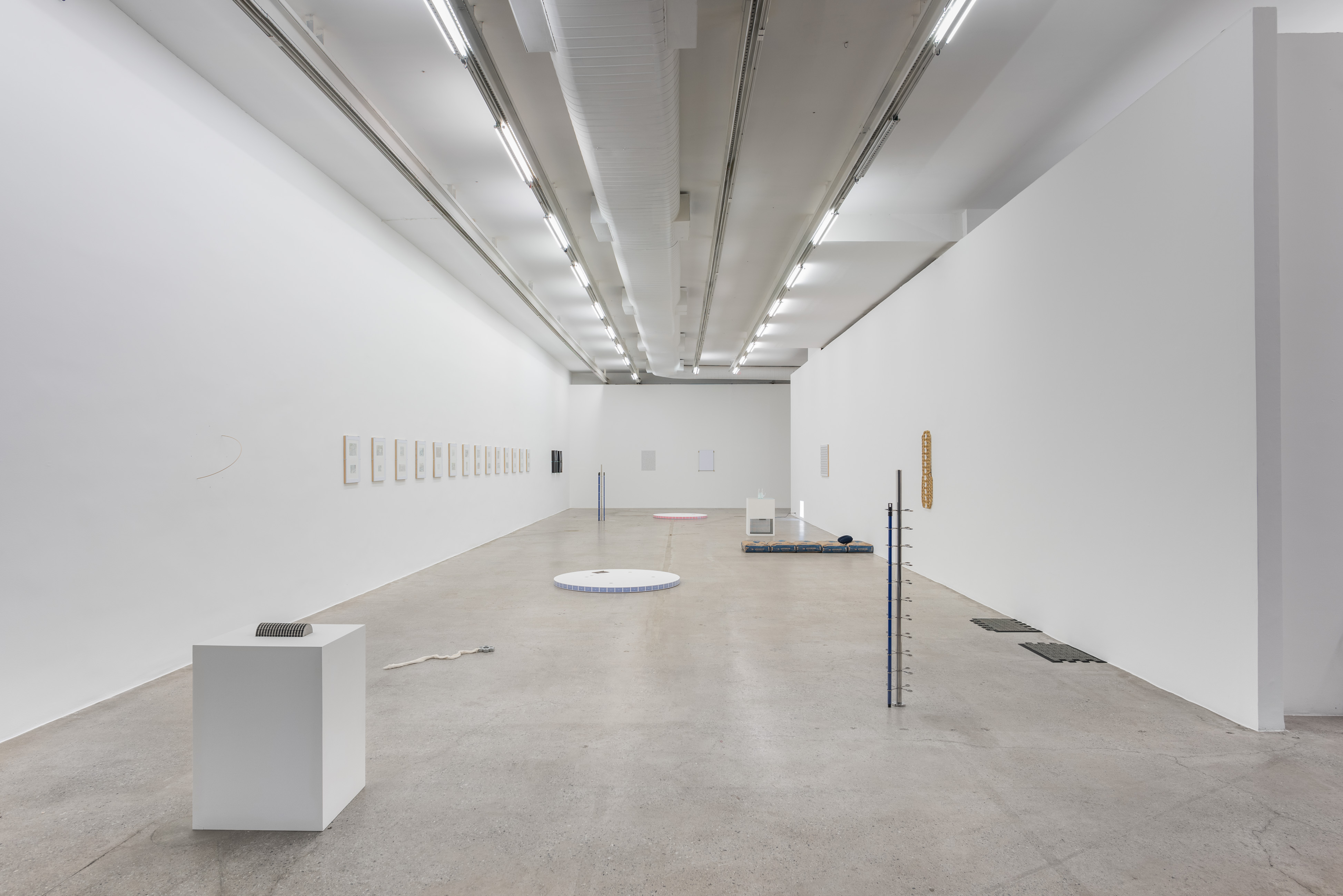 Exhibition view at Galeria Luisa Strina, 2016