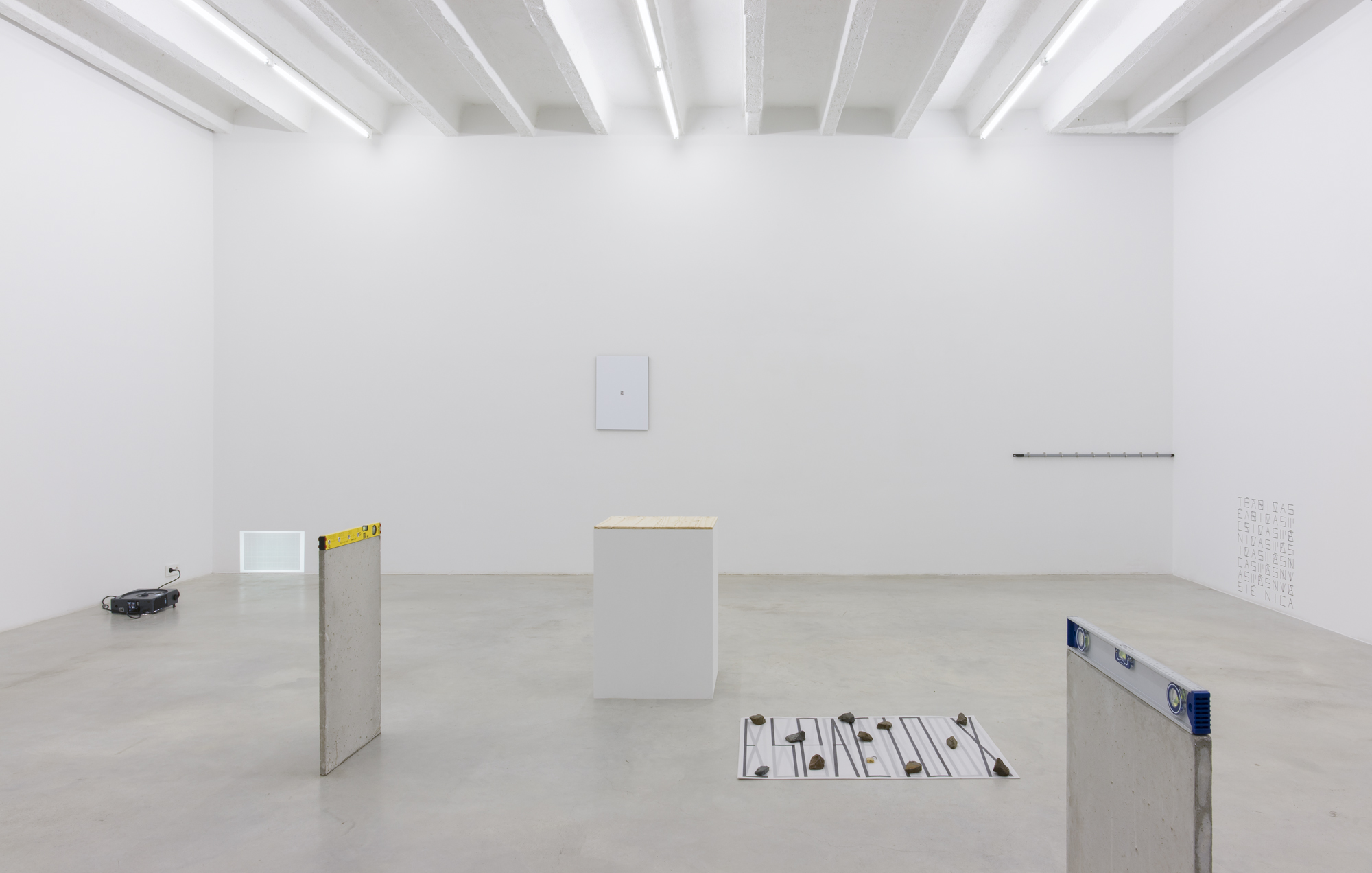 Pablo Accinelli, Técnicas Pasivas, exhibition view, Galerija Gregor Podnar, Berlin, 2016. Photo: Marcus Schneider