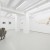 Ion Grigorescu, Commentary upon Nature, exhibition view, Gregor Podnar, 2019. Photo: Marcus Schneider thumbnail