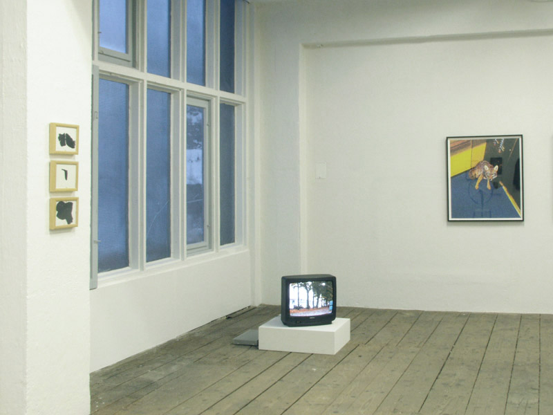 Venture I, exhibition view, Galerija Gregor Podnar, Kranj, 2004